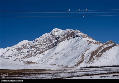 طبیعت برفی شهرستان دلفان لرستان