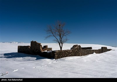 طبیعت برفی شهرستان دلفان لرستان