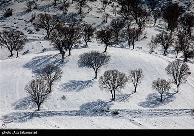 طبیعت برفی شهرستان دلفان لرستان