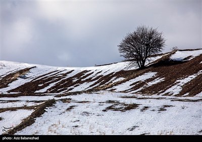 طبیعت برفی شهرستان دلفان لرستان