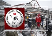 نجات 8 کشتی‌گیر از زلزله ترکیه/ 11 والیبالیست خارجی و ملی‌پوشان قطع عضو ایران همچنان زیر آوار