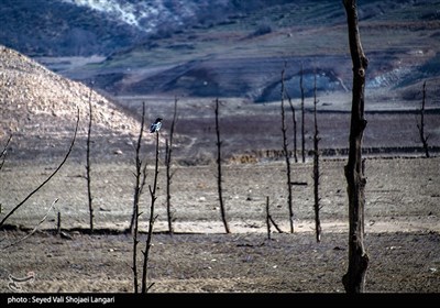 سد شهید رجایی ساری در وضعیت قرمز