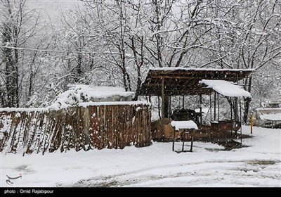 بارش برف در ییلاقات گیلان