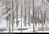 بارش برف زمستانی در استان گلستان/ تردد در محورهای کوهستانی با زنجیر چرخ