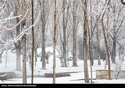 بارش برف در تهران