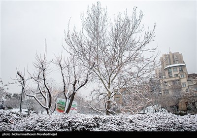 بارش برف در تهران