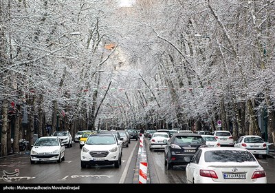 بارش برف در تهران