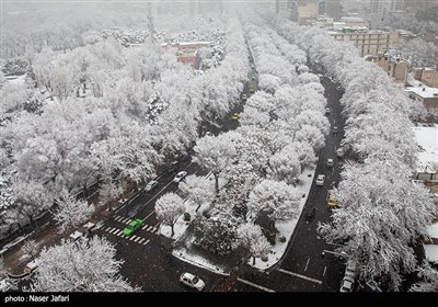  هیچ یک از معابر پایتخت یخ‌زدگی ندارد/ آمادگی شهرداری برای بارش روز چهارشنبه 