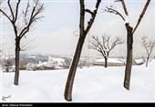 سرمای هوا در استان گلستان/ افزایش مصرف گاز و قطع گاز سی‌ان‌جی‌