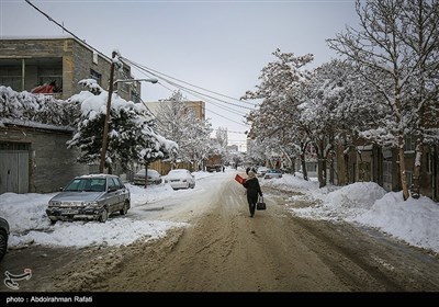 بارش برف در همدان