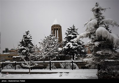 بارش برف در همدان