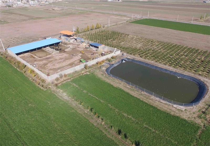 ساخت استخرهای کشاورزی شخصی در استان قزوین ممنوع شد
