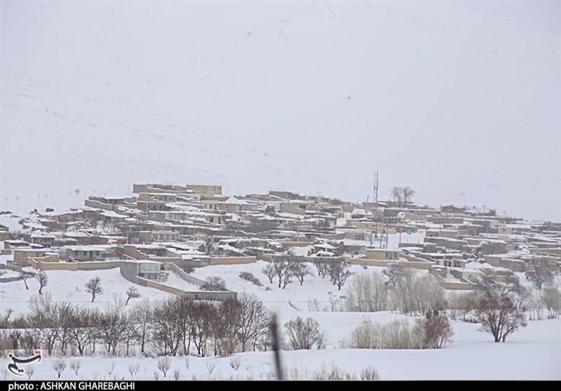 صحفه اخبار فوری - کولاک زنجان را فرا می‌گیرد