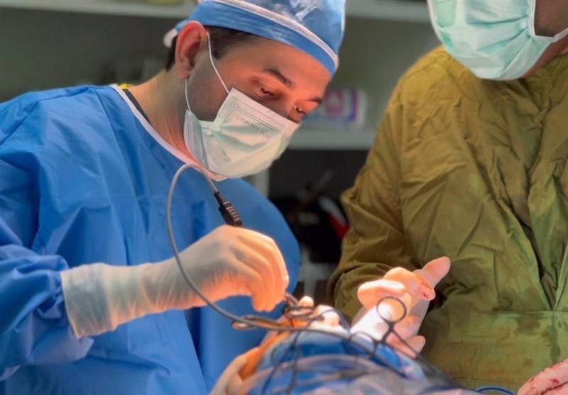 انجام 44 عمل پیوند مغز استخوان در دانشگاه علوم پزشکی مشهد
