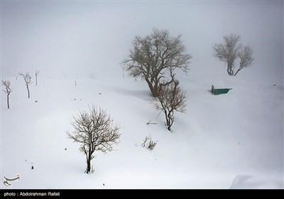 طبیعت زمستانی همدان