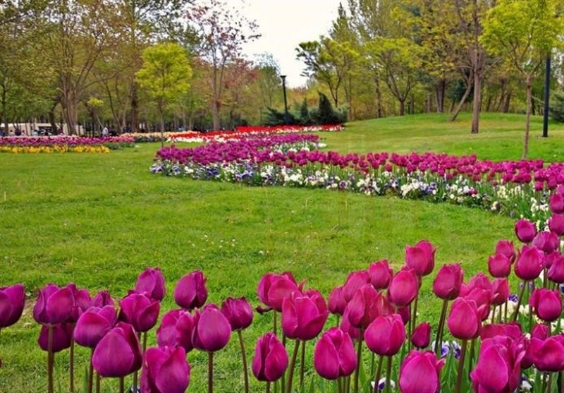 مشهد با گل‌های بهاری و المان‌های نوروزی آماده استقبال از مسافران است