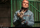 Birds of Prey Fly Back into The Wild after Rehabilitation in Iran