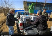 Birds of Prey Fly Back into The Wild after Rehabilitation in Iran