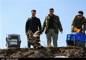 Birds of Prey Fly Back into The Wild after Rehabilitation in Iran