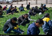 جمع آوری 252 معتاد متجاهرو دستگیری 208 سارق در مشهد