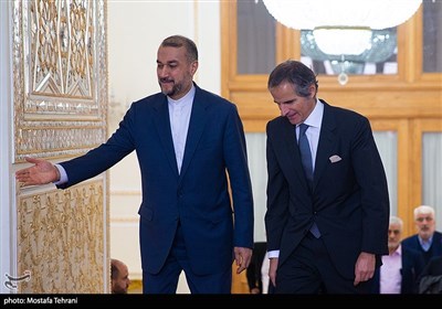 دیدار رافائل گروسی مدیرکل آژانس بین‌المللی انرژی اتمی با حسین امیرعبداللهیان وزیر امور خارجه 