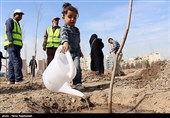 مراسم روز درختکاری - مشهد