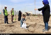 مراسم روز درختکاری - مشهد
