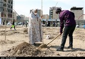 مراسم روز درختکاری - مشهد