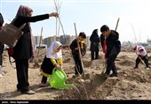 مراسم روز درختکاری - مشهد