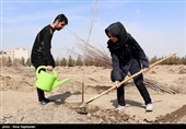 مراسم روز درختکاری - مشهد