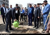 مراسم روز درختکاری - مشهد