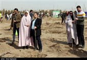 مراسم روز درختکاری - مشهد