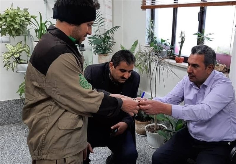 بازگرداندن طلاهای گمشده به صاحبش توسط کارگر میدان تره‌بار تهران