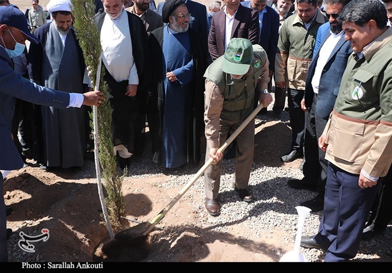 عملیات کاشت 60 میلیون درخت در استان کرمان آغاز شد + تصویر