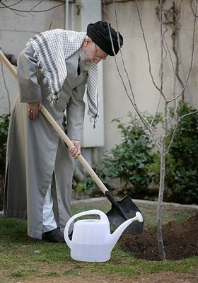 الإمام الخامنئي يغرس شتلة بمناسبة يوم الشجرة
