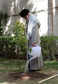 کاشت نهال توسط رهبرمعظم انقلاب در روز درختکاری