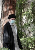 کاشت نهال توسط رهبرمعظم انقلاب در روز درختکاری