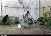 کاشت نهال توسط رهبرمعظم انقلاب در روز درختکاری