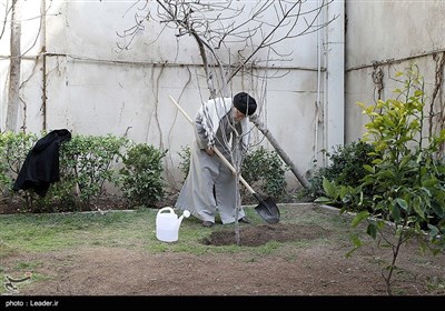 کاشت نهال توسط رهبرمعظم انقلاب در روز درختکاری