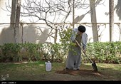 کاشت نهال توسط رهبرمعظم انقلاب در روز درختکاری