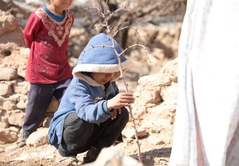کاشت درخت در منطقه مرزی به یاد جهادگران آسمانی‌ + فیلم