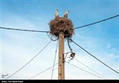 کوشکی سفلا و کپر جودکی در فهرست ملی؛ بروجرد وارد نقشه ملی شد
