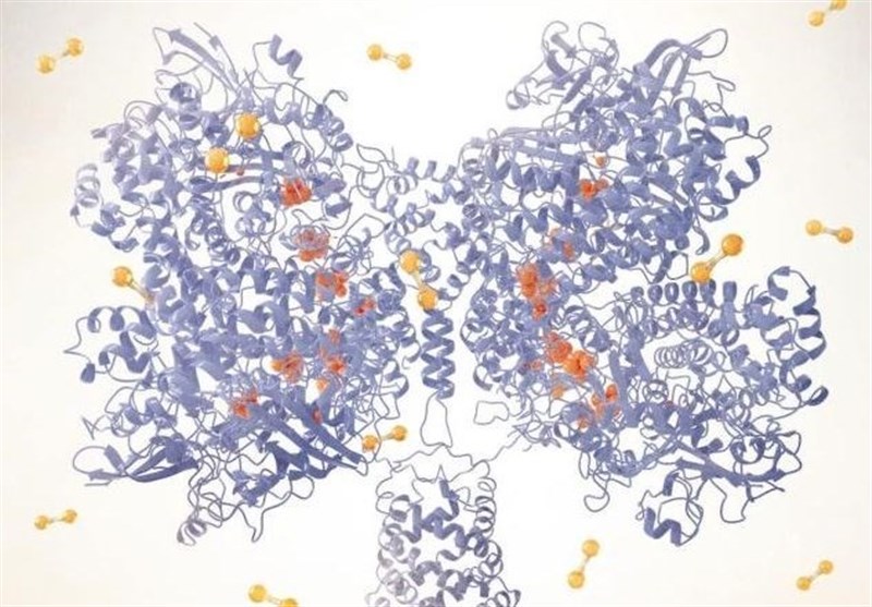 Scientists Discover Soil Bacteria Enzyme that Produces Electricity from Air