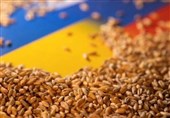 5 کشور اتحادیه اروپا خواستار تمدید ممنوعیت غلات اوکراین شدند