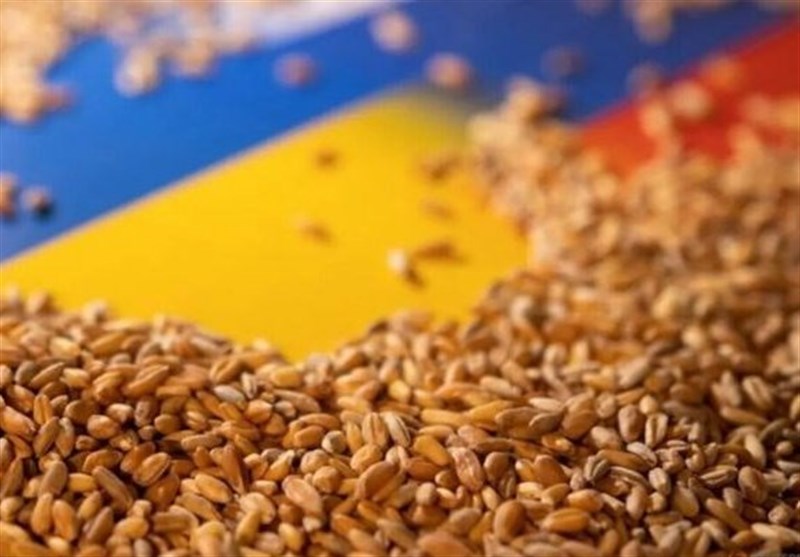 5 کشور اتحادیه اروپا خواستار تمدید ممنوعیت غلات اوکراین شدند