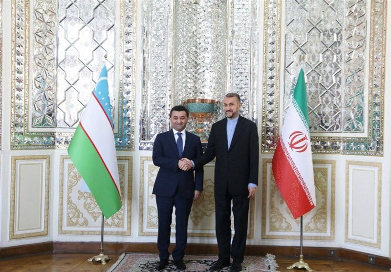 تاکید تهران و تاشکند بر لزوم همکاری همسایگان افغانستان برای تقویت صلح در این کشور