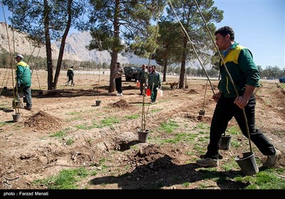 هفته درختکاری در کرمانشاه
