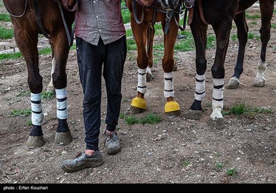 مسابقه بین المللی چوگان بانوان جام نوروزگاه