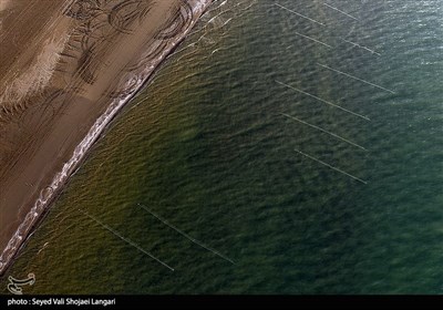 اگرچه به گفته متولیان گشت‌های دریایی به منظور مقابله با متخلفان صیادی پس از پایان فصل صید برای حفظ حیات گونه‌های مولد فعال و در تکاپو هستند اما با توجه به تکرار هر ساله صید در زمان نامناسب توسط برخی صیادان و پهن کردن دام در دهانه رودخانه‌های متصل به دریای خزر‌، نیازمند نظارت‌های دقیق، مستمر و همچنین عملیاتی شدن بیشتر و مفیدتر گشت‌های مقابله با صیادان سودجو هستیم، سودجویانی که آینده ذخایر ماهیان مولد و آینده نسل انسانی برایشان اهمیتی ندارد و در پس تعلقات مادی‌شان، دریا و رودخانه را سوگوار مرگ آبزیان مولد می‌کنند