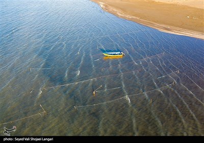 اگرچه به گفته متولیان گشت‌های دریایی به منظور مقابله با متخلفان صیادی پس از پایان فصل صید برای حفظ حیات گونه‌های مولد فعال و در تکاپو هستند اما با توجه به تکرار هر ساله صید در زمان نامناسب توسط برخی صیادان و پهن کردن دام در دهانه رودخانه‌های متصل به دریای خزر‌، نیازمند نظارت‌های دقیق، مستمر و همچنین عملیاتی شدن بیشتر و مفیدتر گشت‌های مقابله با صیادان سودجو هستیم، سودجویانی که آینده ذخایر ماهیان مولد و آینده نسل انسانی برایشان اهمیتی ندارد و در پس تعلقات مادی‌شان، دریا و رودخانه را سوگوار مرگ آبزیان مولد می‌کنند